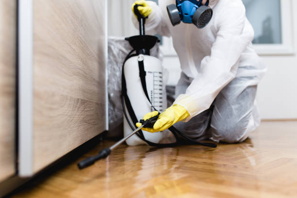 Best Pest Control Treatment  in Moxee, WA